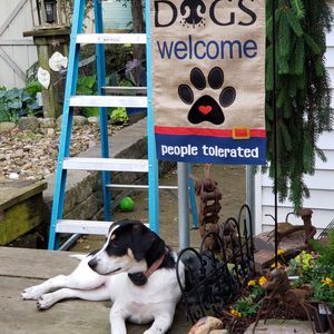 Meet your Posher, Joan